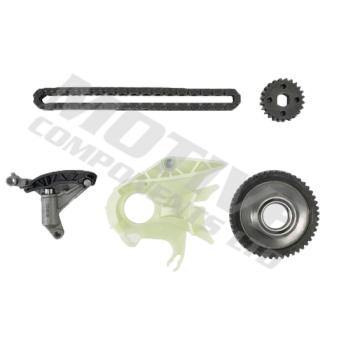 Chaîne, commande de pompe à huile MOTIVE OEM 11417605366