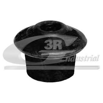 Support moteur 3RG [40703]