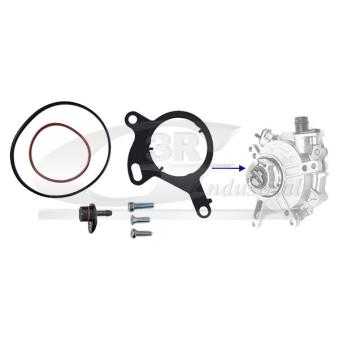 Kit de réparation, pompe à vide (freinage) 3RG 74301