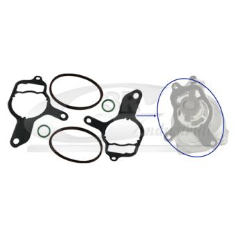 Kit de réparation, pompe à vide (freinage) 3RG OEM 07K145215