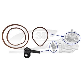 Kit de réparation, pompe à vide (freinage) 3RG [74801]