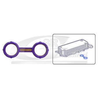 Joint, radiateur d'huile 3RG [76513]