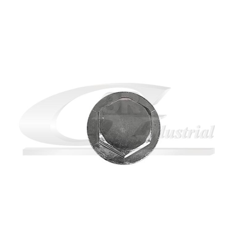Vis-bouchon, carter d'huile 3RG 83098 - Visuel 1