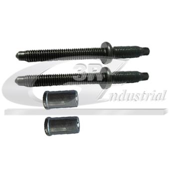 Vis, support pour controleur d'injecteurs 3RG [87207]