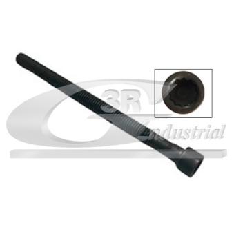 Vis, support pour controleur d'injecteurs 3RG [99702]