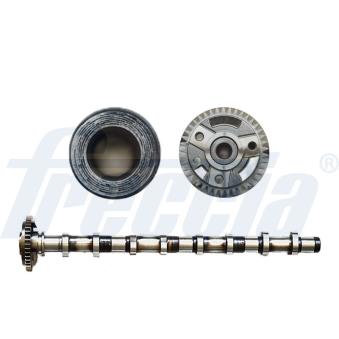 Arbre à came FRECCIA [CM05-2187]