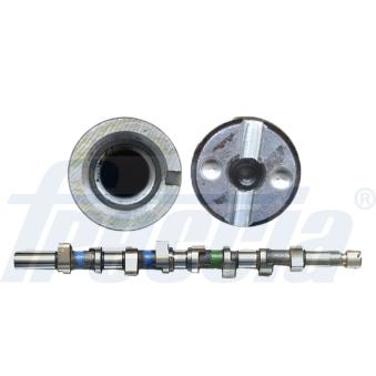 Arbre à came FRECCIA [CM05-2213]