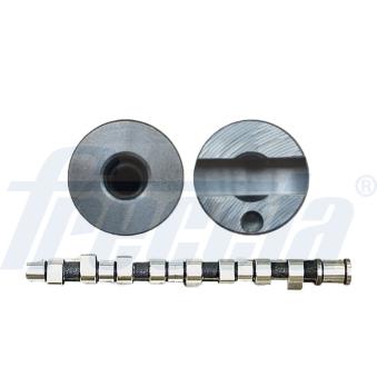 Arbre à came FRECCIA [CM05-2255]