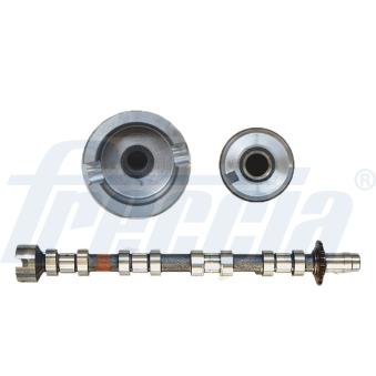 Arbre à came FRECCIA [CM05-2271]