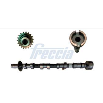 Arbre à came FRECCIA CM05-2361 pour CITROEN JUMPY 2.0 TDCi - 115cv