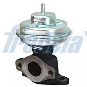 Vanne EGR FRECCIA OEM 2841027000