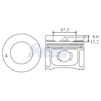 Piston FRECCIA [FP23-100100]