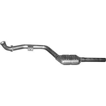 Catalyseur POLMO OEM 2104901019