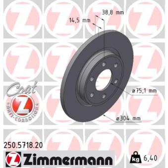 Jeu de 2 disques de frein arrière ZIMMERMANN 250.5718.20