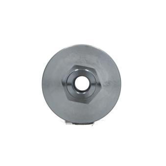 Poulie, alternateur BV PSH OEM A4209065000
