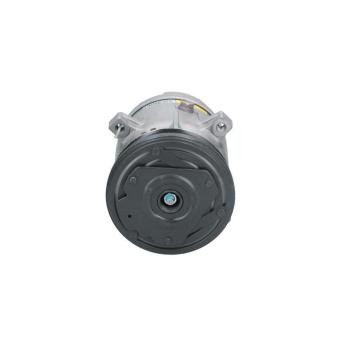 Compresseur, climatisation BV PSH OEM 5110395