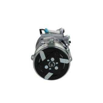 Compresseur, climatisation BV PSH 090.135.040.876 pour FORD SIERRA 1.3 CDTI - 75cv