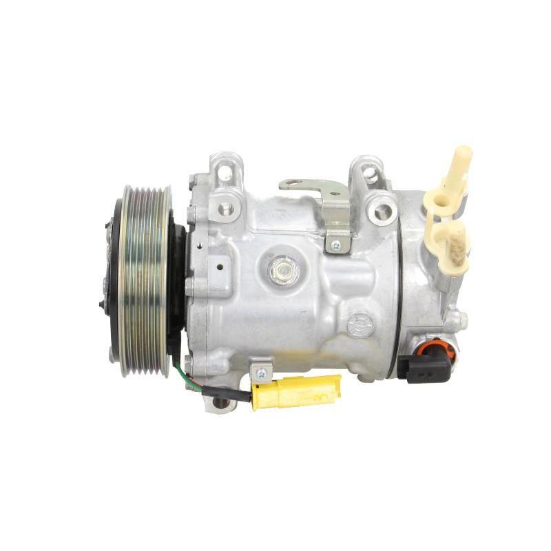 Compresseur, climatisation BV PSH 090.225.009.260 - Visuel 1