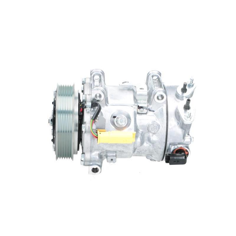 Compresseur, climatisation BV PSH 090.225.009.907 - Visuel 1