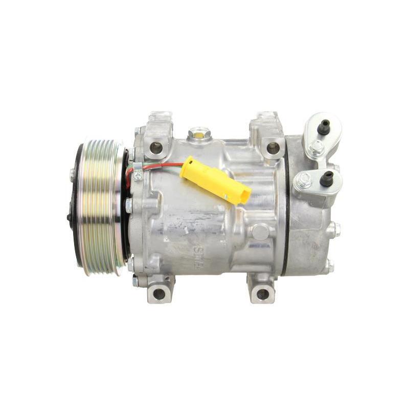 Compresseur, climatisation BV PSH 090.225.028.876 - Visuel 1