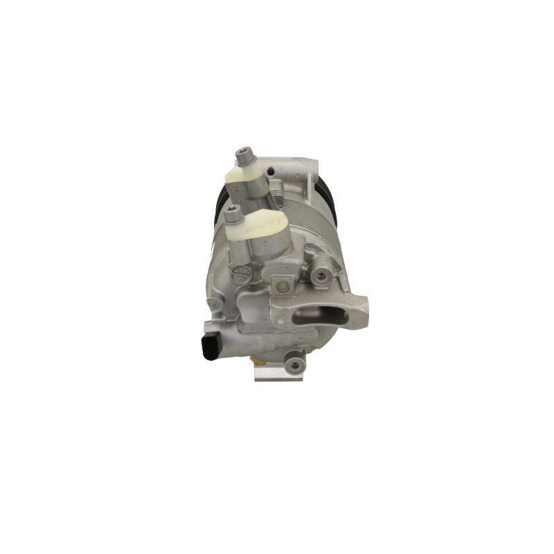 Compresseur, climatisation BV PSH 090.305.001.876 - Visuel 2