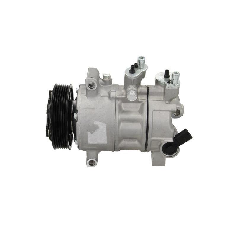 Compresseur, climatisation BV PSH 090.445.002.050 - Visuel 1