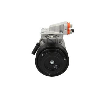 Compresseur, climatisation BV PSH OEM 10286831