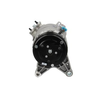 Compresseur, climatisation BV PSH OEM 89019271