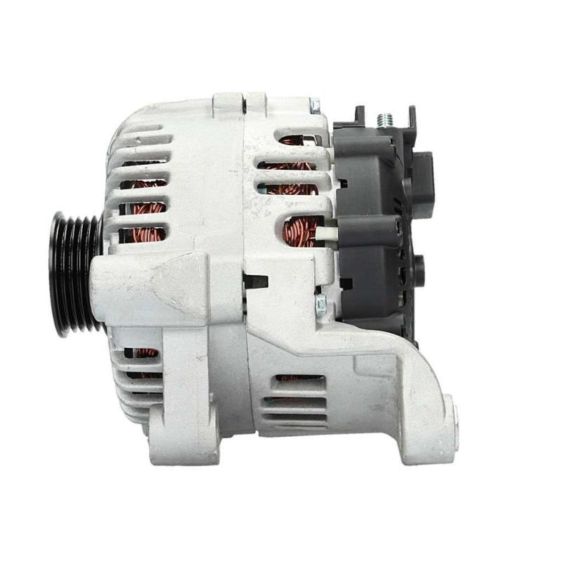 Alternateur BV PSH 215.563.150.000 - Visuel 1