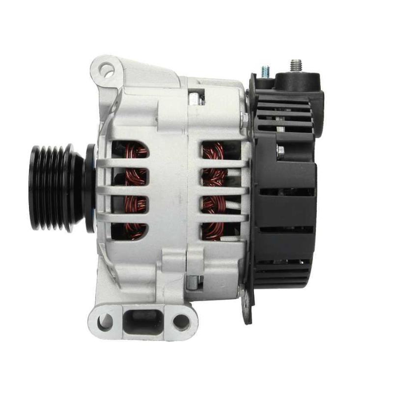 Alternateur BV PSH 555.529.090.000 - Visuel 1