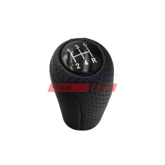 Pommeau FAST FT00173 pour MAZDA 3 1.6 MZR - 105cv