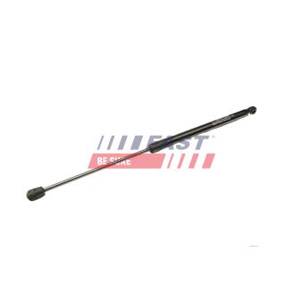 Vérin de hayon, de coffre FAST [FT00208]