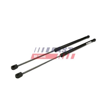 Vérin de hayon, de coffre FAST FT00355K