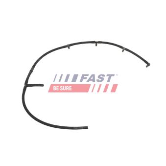 Tuyau, carburant de fuite FAST [FT00775]