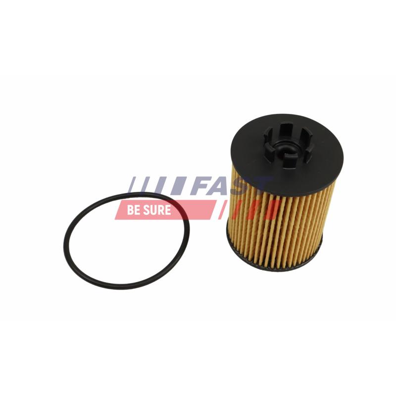 Filtre à huile FAST FT01335 - Visuel 1