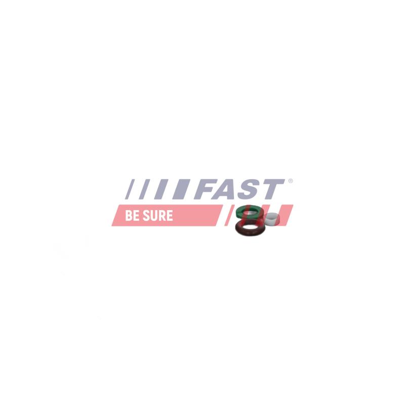 Kit de réparation, unité pompe-injecteur FAST FT01835 - Visuel 2