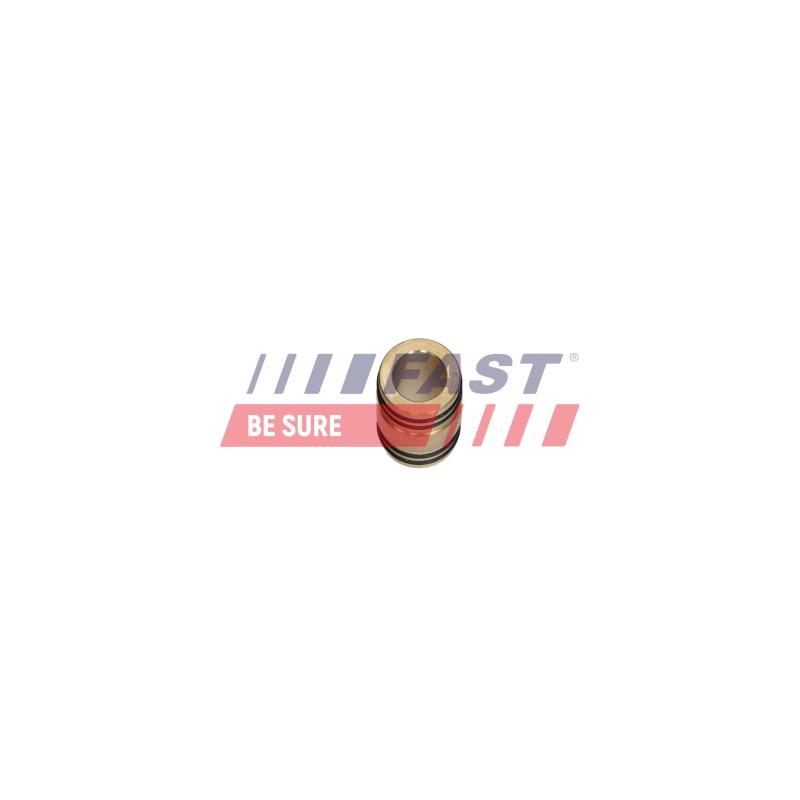 Bride de liquide de refroidissement FAST FT04171 - Visuel 1