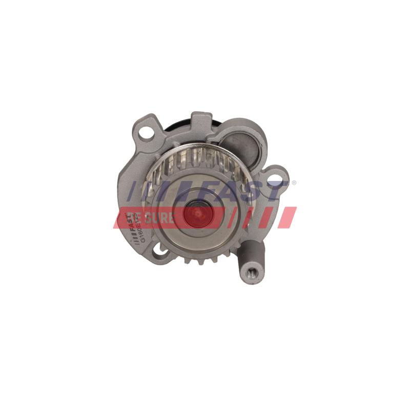 Pompe à eau, refroidissement du moteur FAST FT04449 - Visuel 2