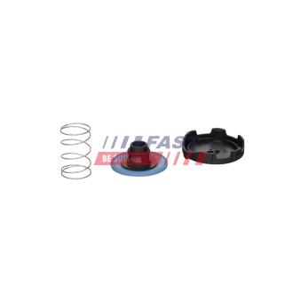 Diaphragme, ventilation du carter-moteur FAST [FT04924]