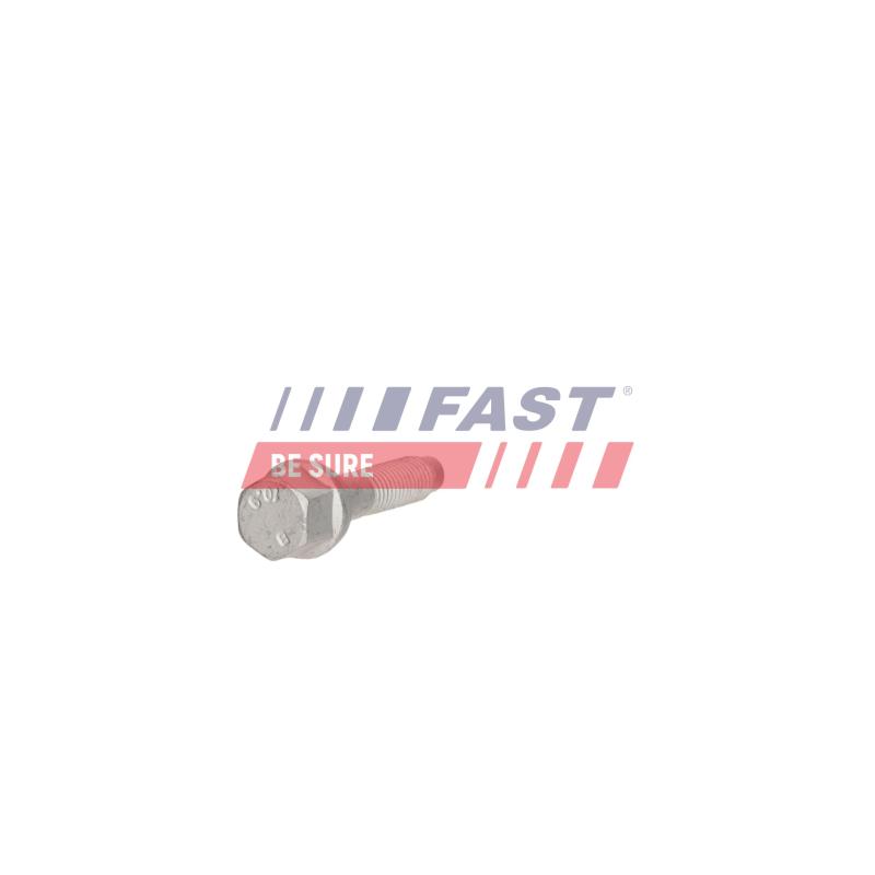 Vis, support pour controleur d'injecteurs FAST FT05138 - Visuel 2