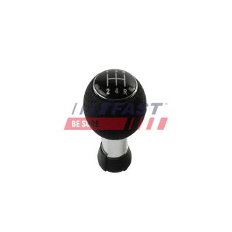 Pommeau FAST FT09036 pour FORD FOCUS 2.0 - 130cv