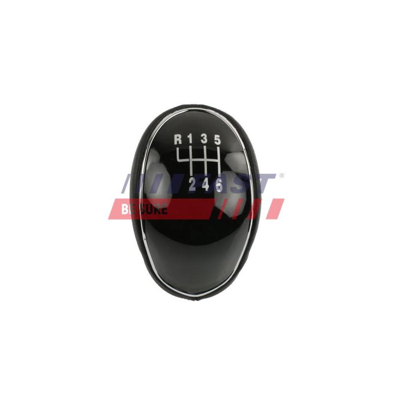 Pommeau de vitesses FAST FT09041 - Visuel 1