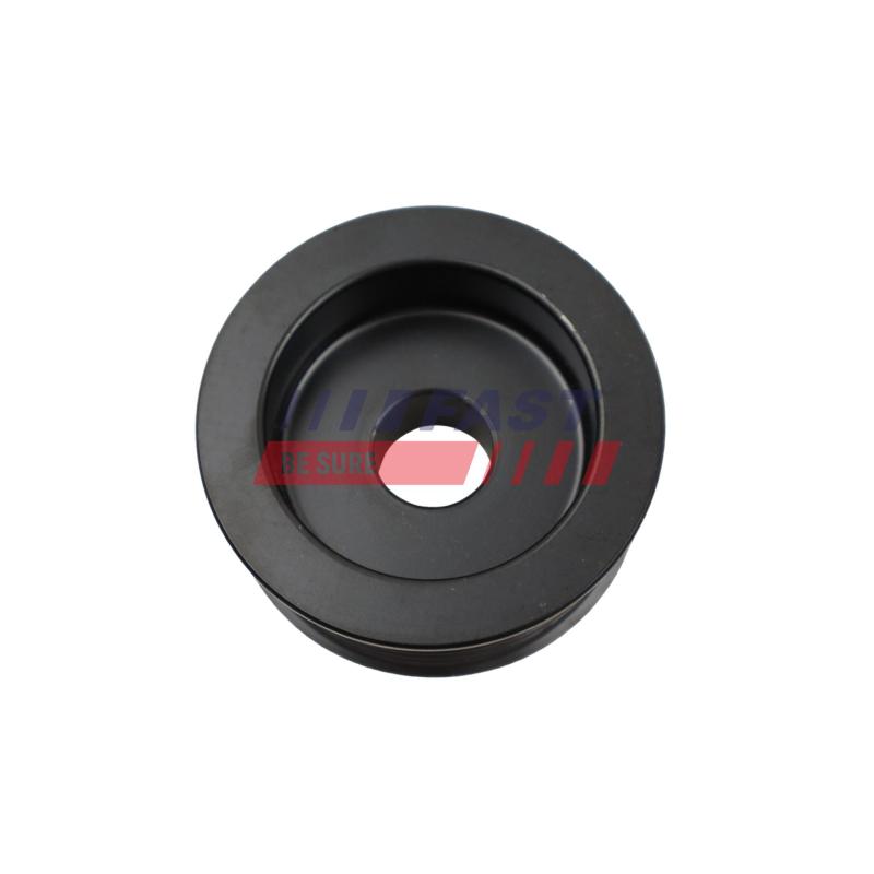 Poulie, alternateur FAST FT10313 - Visuel 1