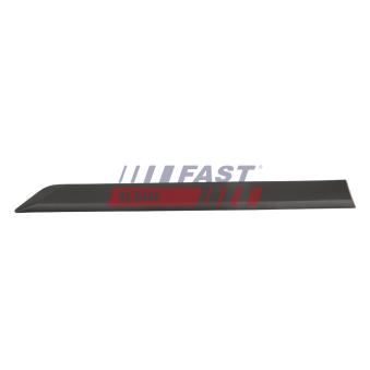 Baguette et bande protectrice, vitre de porte FAST OEM 2288638