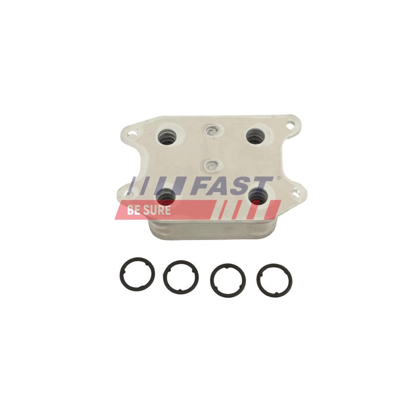 Radiateur d'huile FAST FT10735 - Visuel 1