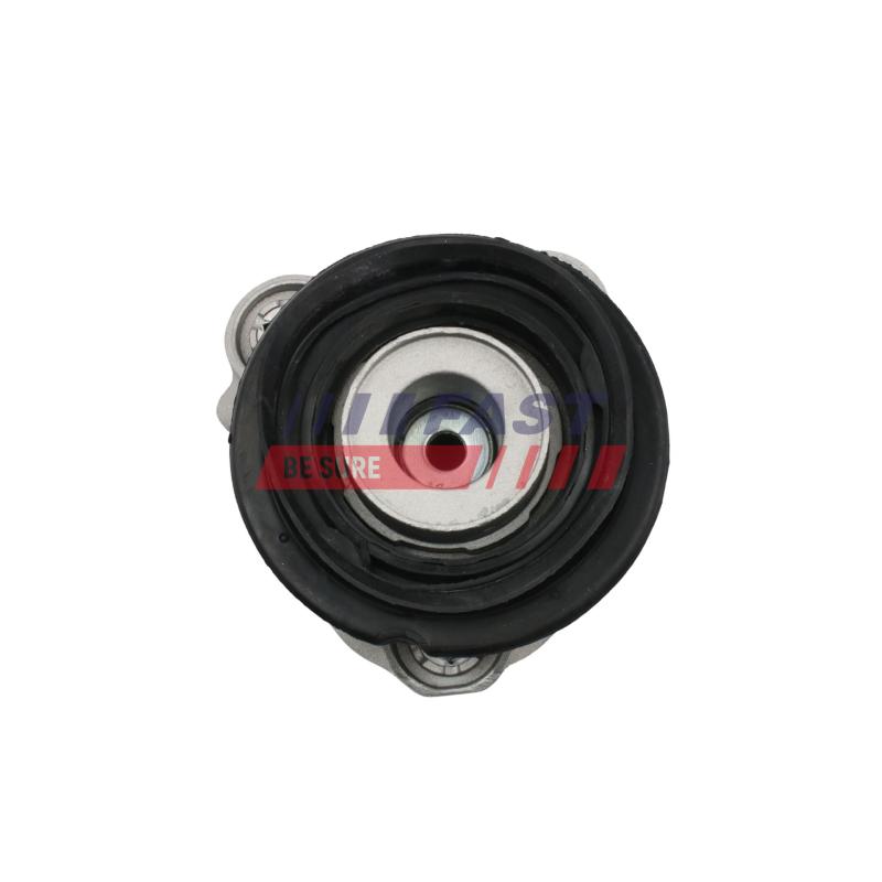 Suspension, amortisseur FAST FT12279NK - Visuel 2