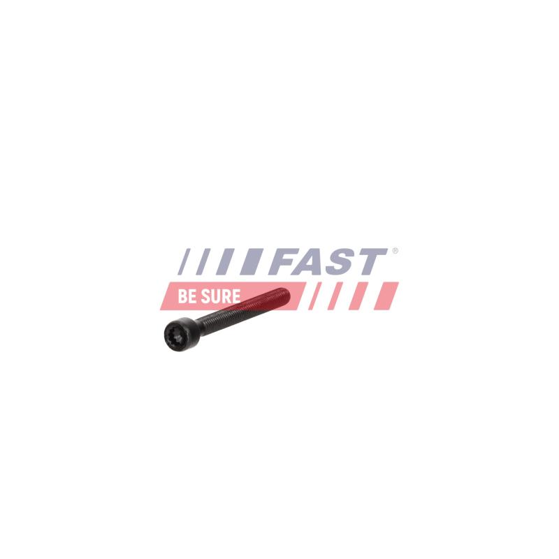 Vis, support pour controleur d'injecteurs FAST FT12959 - Visuel 2