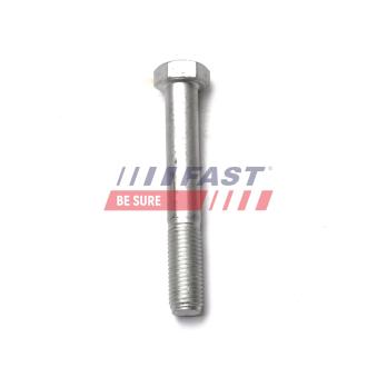 Suspension, ressort à lames FAST [FT13349]