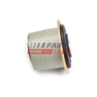 Suspension, ressort à lames FAST OEM 1304640080