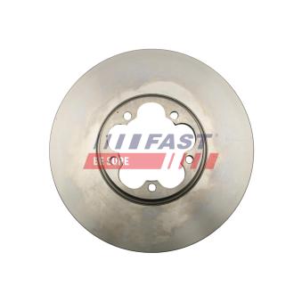Jeu de 2 disques de frein avant FAST [FT31009]
